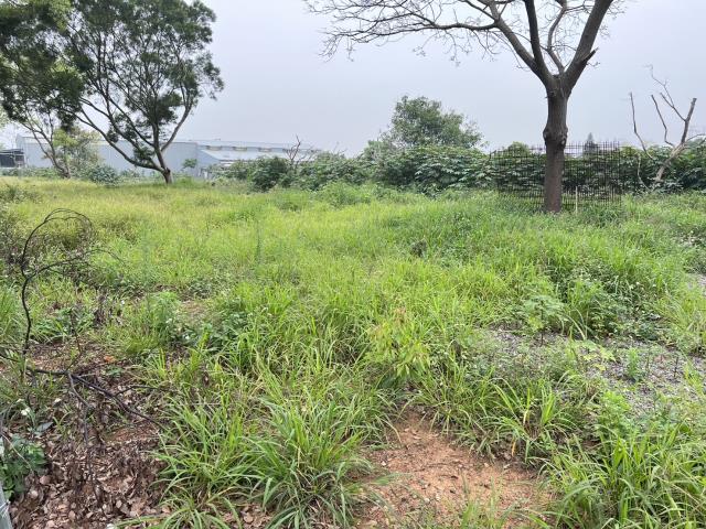 桃園中壢農地-1