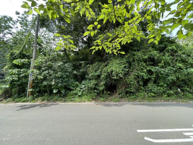 桃園龍潭建地-0